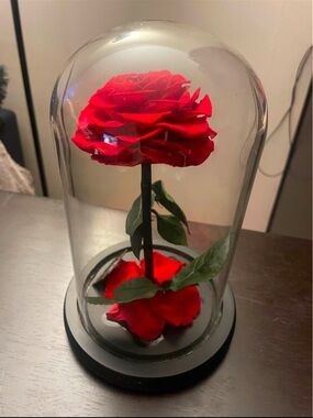 Red Rose Glass Dome